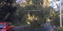 Tri osobe poginule u snažnim udarima vjetrova u Italiji (FOTO) (VIDEO)