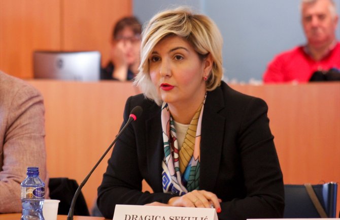 Sekulić: Namjera Vlade da svaki građanin ima koristi od razvoja sektora energetike