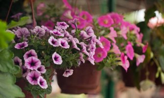 Promjenljivo oblačno i uglavnom suvo, do  23 stepena