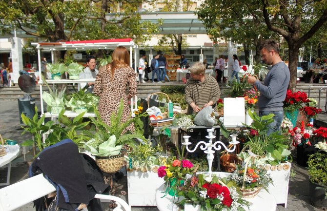 Anketa AA: Mnogo je bolje nego što je ranije bilo
