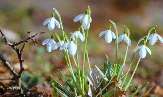 Danas promjenljivo oblačno sa sunčanim intervalima, do 19 stepeni