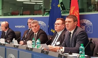 Drljević u Strazburu: Crna Gora u proces integracije u EU ušla s jasnim ciljem 