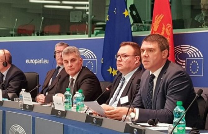 Drljević u Strazburu: Crna Gora u proces integracije u EU ušla s jasnim ciljem 