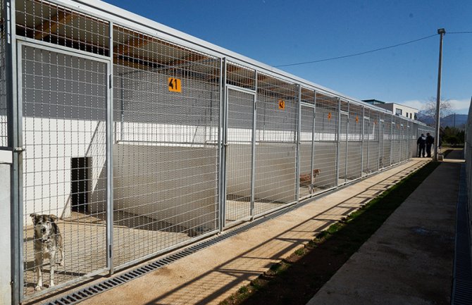 U svim crnogorskim gradovima još uvijek ne postoji sklonište za napuštene životinje