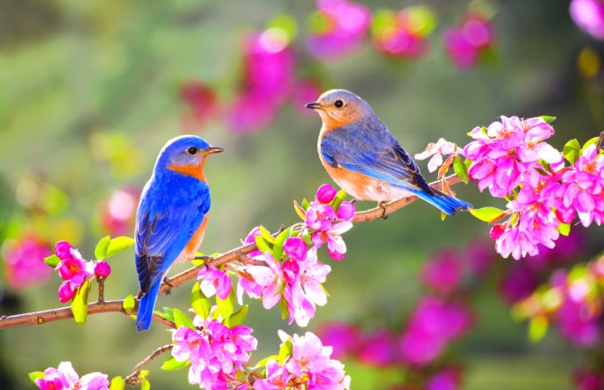 Promjenljivo oblačno sa sunčanim intervalima