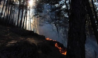 Mladi biciklista spriječio širenje požara u Trebjesi