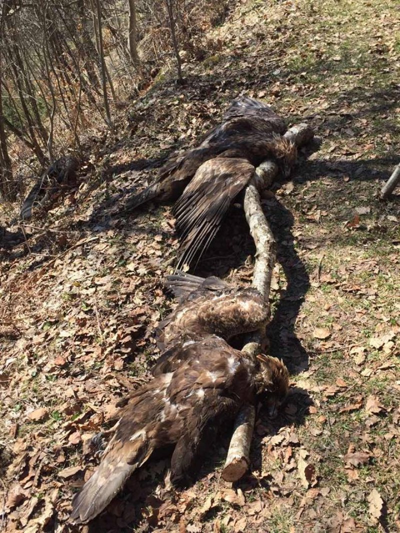 5557598324511887215577922714942264815124480n