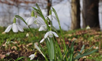 Danas suvo i vjetrovito, temperatura do 19 stepeni