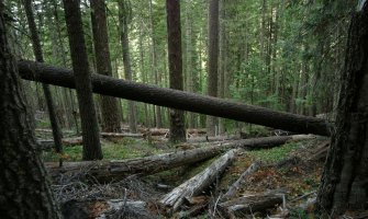 Vlada prihvatila: Raskid ugovora, 