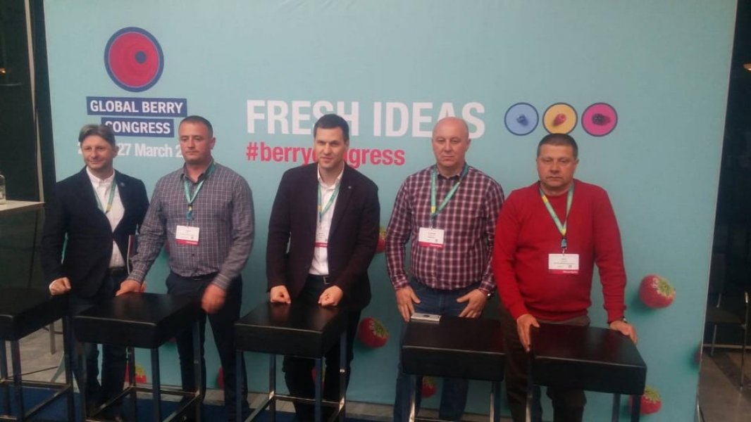 5635848623017097768158745307210286447460352n