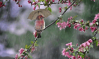 Kišovito, temperatura do 21 stepen