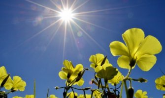 Pretežno sunčano, do 21 stepen