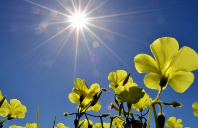 Pretežno sunčano, do 21 stepen