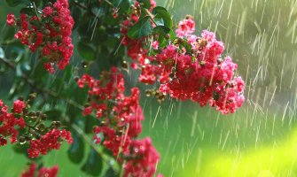 Majski dani u znaku kiše, grmljavine i pomalo sunca