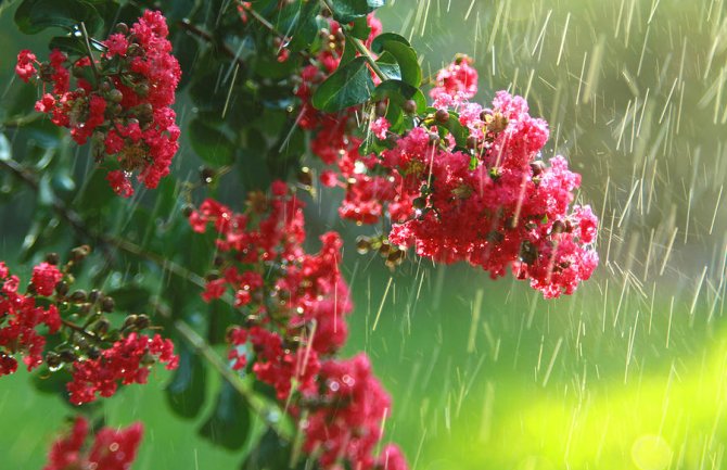 Majski dani u znaku kiše, grmljavine i pomalo sunca