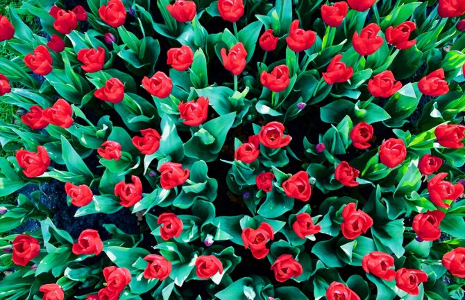 Sunčano, ponegdje kiša