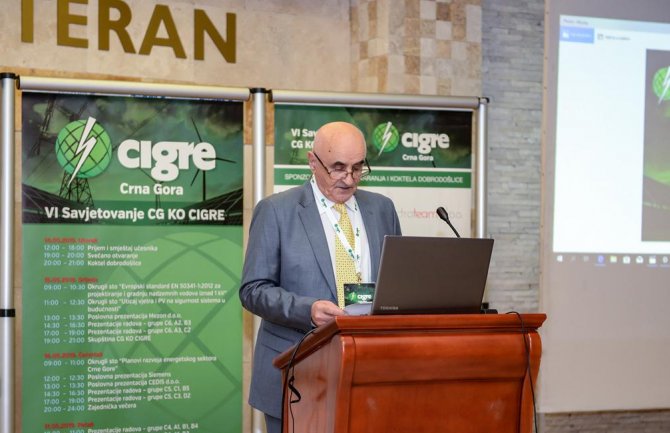 CG ima dovoljno potencijala da se u energetskom sektoru krene dinamičnije