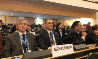 Hrapović na Skupštini SZO u Ženevi: Jačanje saradnje i implementacija zdravstvenih politika