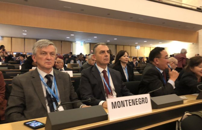 Hrapović na Skupštini SZO u Ženevi: Jačanje saradnje i implementacija zdravstvenih politika