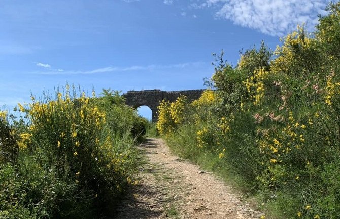 Sjutra radna akcija čišćenja tvrđave Mogren