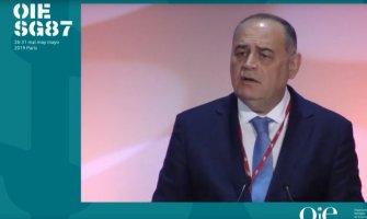  Simović u Parizu: Crna Gora pouzdan partner u ispunjavanju globalnih agendi