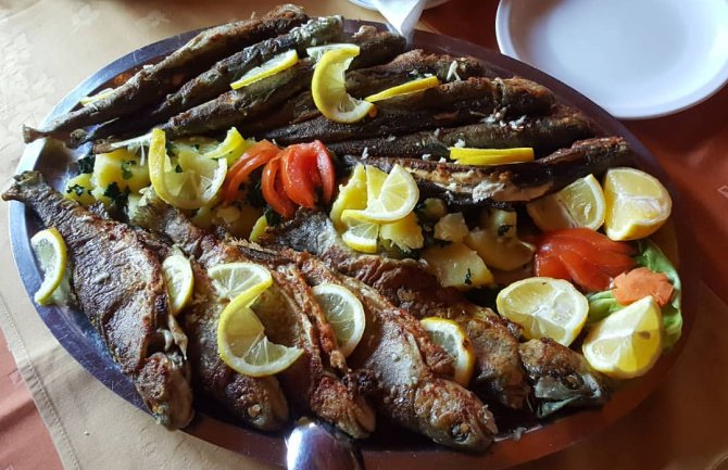 Akreditovan prvi studijski program gastronomije: Upis krajem juna