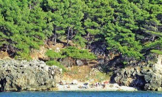 Vatrogasci spasili bosog Makedonca iz trnja