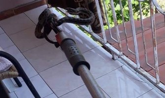 Podgorički vatrogasci uklonili zmiju iz kuće u Tološima