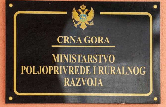 Proizvodne životinje koje se ne drže u skladu sa pravilima biće oduzimane