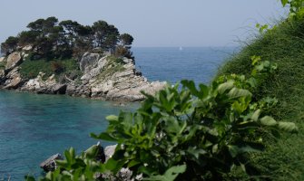 Sjutra akcija čišćenja podmorja i obale u zoni budućeg zaštićenog područja u moru - Katič