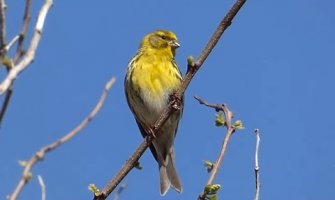 Promjenljivo oblačno sa sunčanim periodima