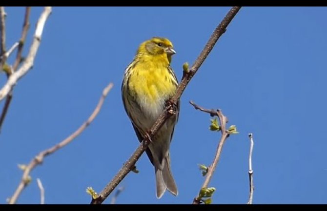 Promjenljivo oblačno sa sunčanim periodima