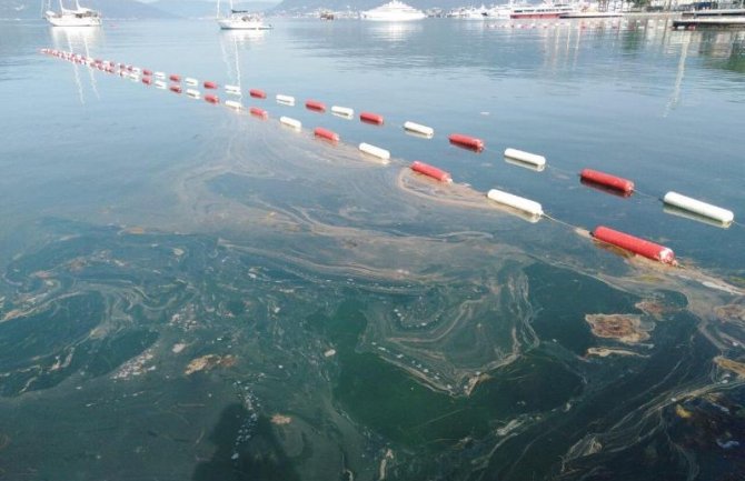 URA Tivat: Čistoća vode na obali ugrožena, Morsko dobro da pojasni kako kvalitet vode zadovoljava