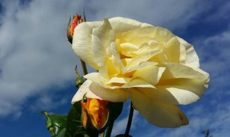 Pretežno sunčano, do 32 stepena