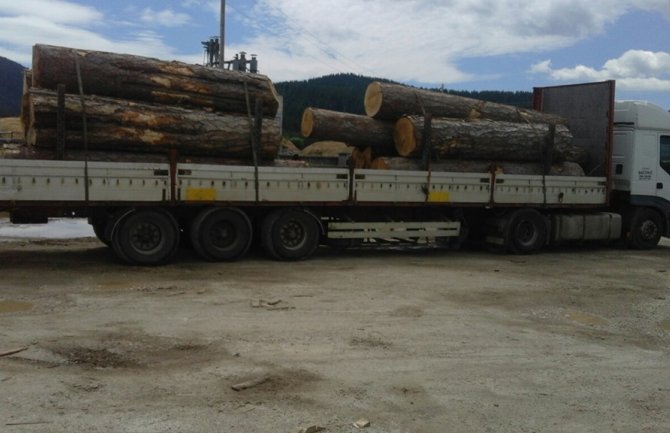 Zaplijenili 24 kubika drvne građe, pojačan nadzor u svim opštinama