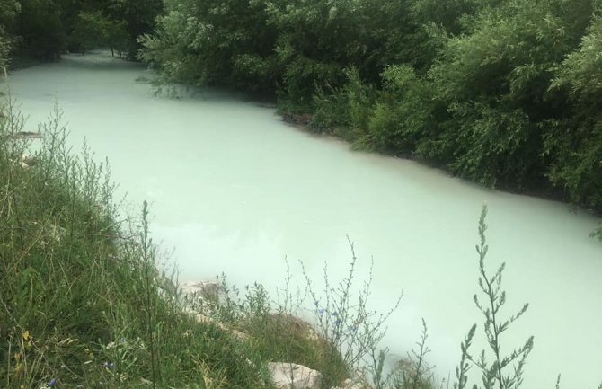 Ministarstvo poljoprivrede: Inspekcija će tražiti maksimalne kazne za EPCG i odgovorno lice