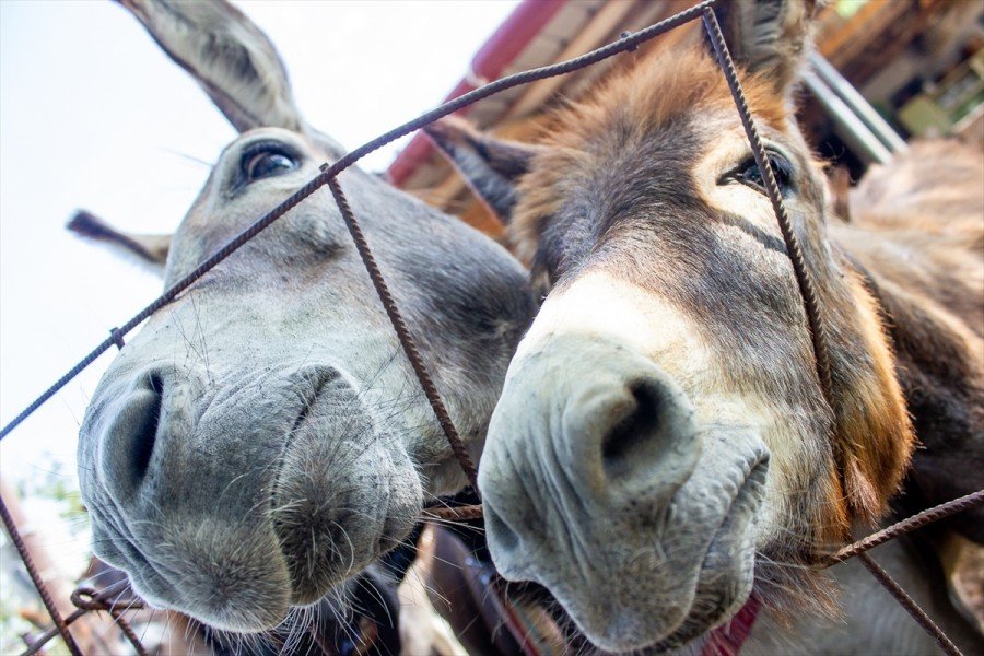 2019072123744003246249119Web