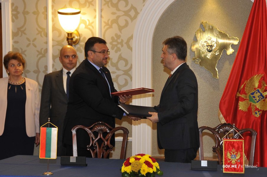 483789177363799442bffo