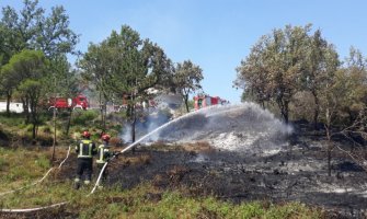 Mandić: Palili vatru uprkos zabrani