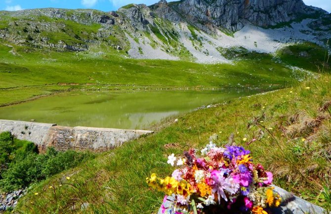 Bošković nije dao nijedan valjan argument koji bi išao u prilog uspostavljanju vojnog vježbališta na Sinjajevini