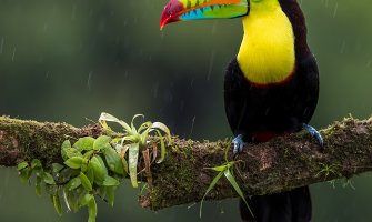 Nestabilno, mjestimično kiša 