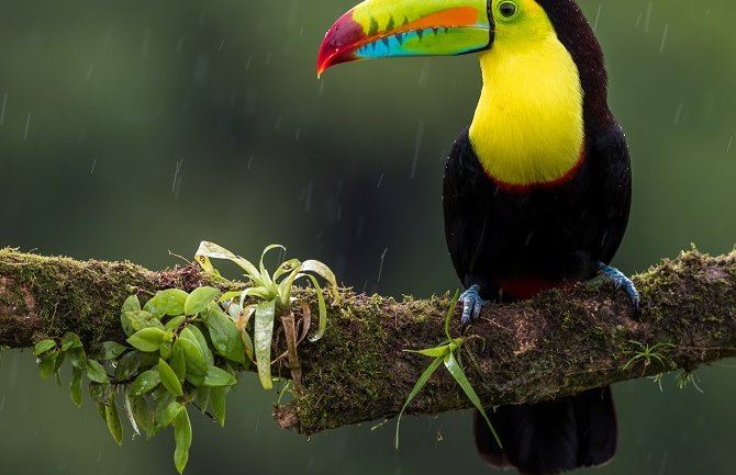 Nestabilno, mjestimično kiša 