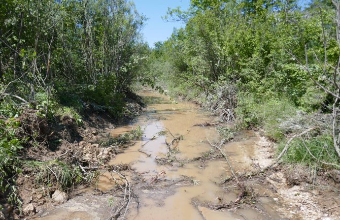 Devastacija Gračanice, spriječiti još jedan pomor i istrijebljenje ribe