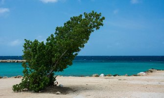 Danas veoma toplo, do 40 stepeni