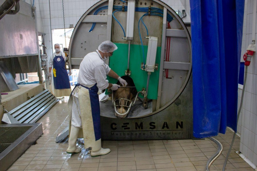 689151461267064506805751748260135633158144n1