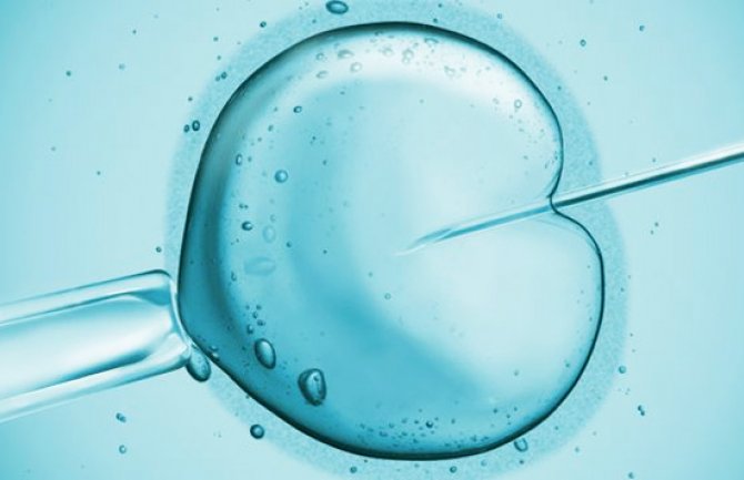 Svaki šesti par U CG ima problem neplodnosti: Rođeno 55 beba iz epruvete