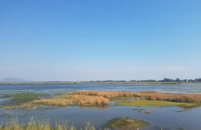 Ulcinjska solana na Ramsar listi močvarnih staništa od svjetskog značaja