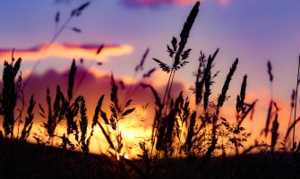 Danas pretežno sunčano, do 31 stepen