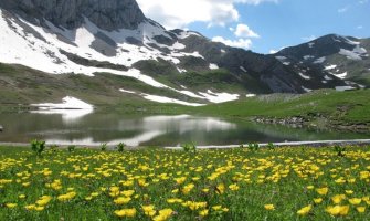 KOR organizuje ekološki protest 20. septembra