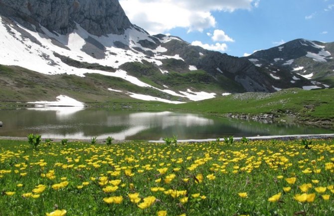 KOR organizuje ekološki protest 20. septembra